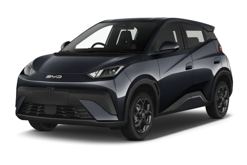BYD Dolphin Surf
